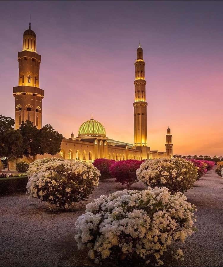 Oman:Group Muscat City Tour With Pick Up & Free Lunch/Dinner - Royal Opera House Muscat: Oman’s Modern Cultural Face