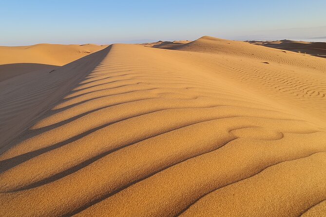 Oman Highlights: Wahiba Sands Desert & Wadi Bani Khalid Tour - Wahiba Sands and the Bedouin family visit