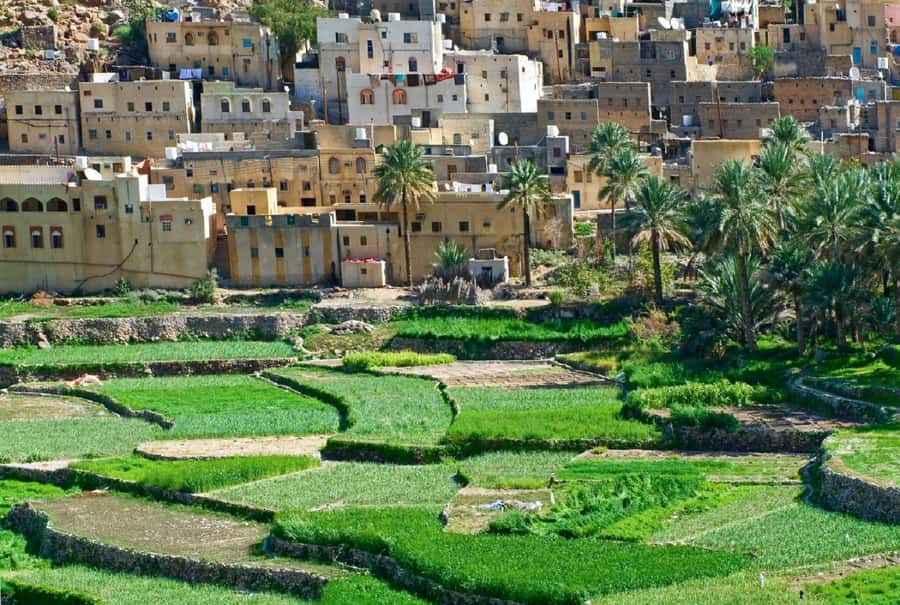 Oman: Muscat to Bilad Sayt 4WD Day Trip - The 4WD section through Wadi Bani Awf