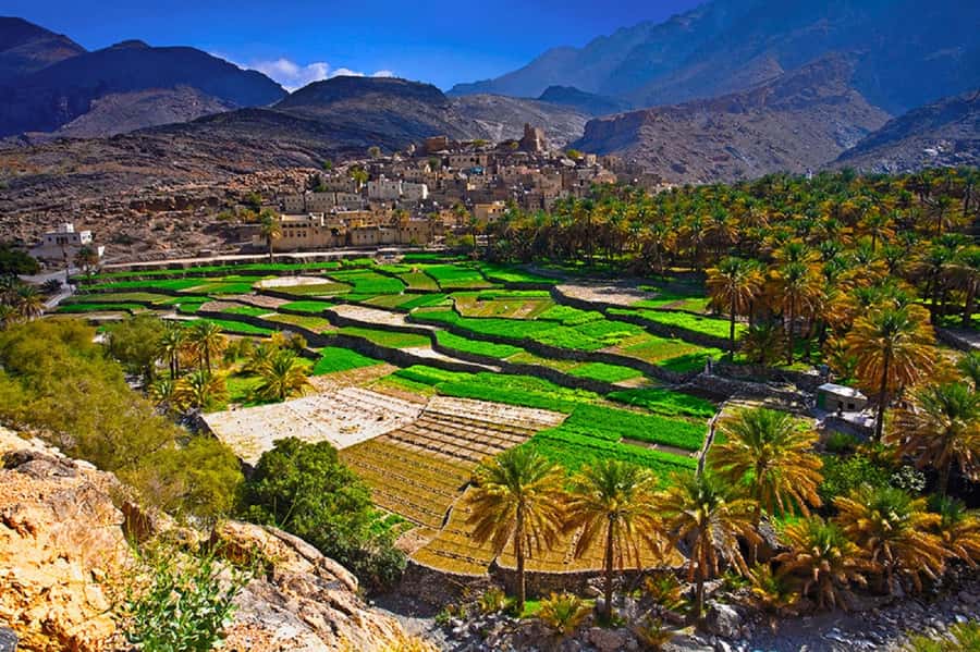 Oman: Muscat to Bilad Sayt 4WD Day Trip - Three hours in Bilad Sayt