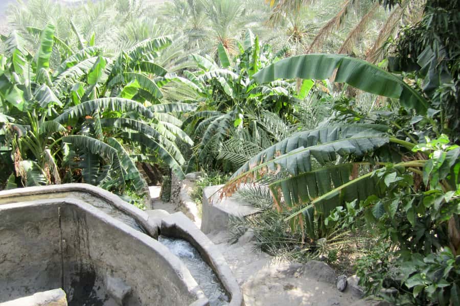 Oman's Grand Canyon: Full-Day Tour from Muscat - Nizwa Souq, the day’s human touch