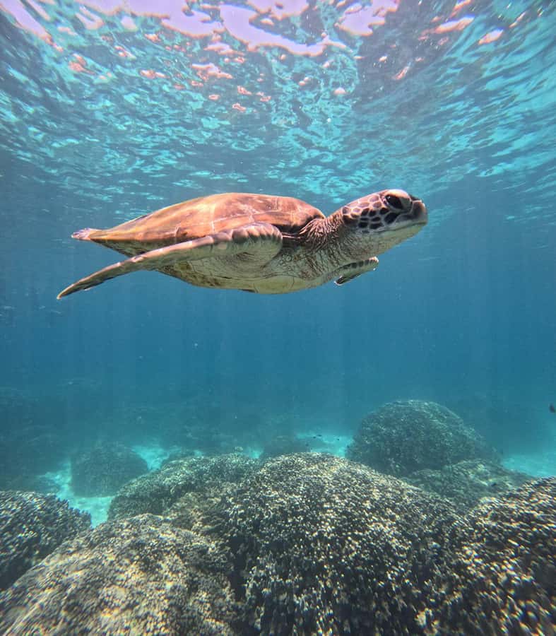 Oman: Snorkeling Trip at Daymaniyat Islands - First look at the nine Daymaniyat Islands