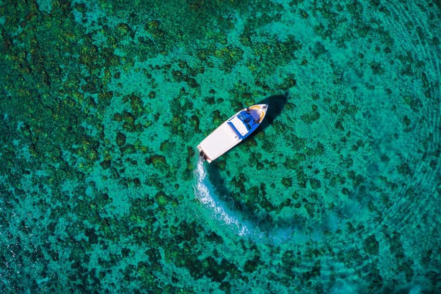 Oman: Snorkeling Trip at Daymaniyat Islands - Service from Oman Sea Tour
