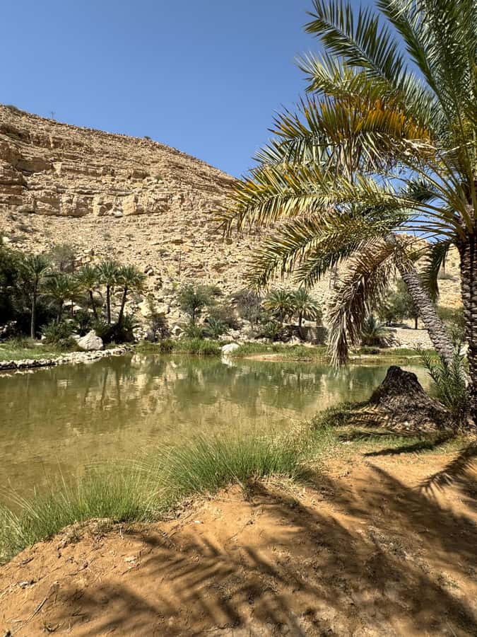 Oman: Wahiba Desert Sunset & Wadi Bani khalid Full Day+Lunch - Entering Wahiba Sands by four-wheel drive