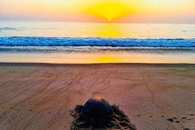 Private 2 Day Wadi Shab and Bimmah Sinkhole Tour - An evening at Ras Al Jinz Turtle Reserve