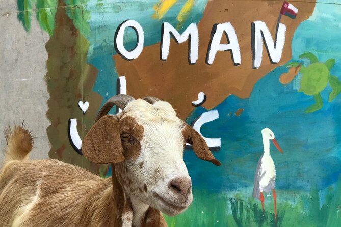 Private 2 Day Wadi Shab and Bimmah Sinkhole Tour - Qalhat offers a brief ancient stop
