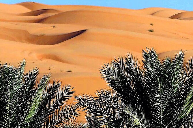 Private 2 Days 1 Night Wahiba Sands Desert and Wadi Bani Khalid Tour - From Muscat to Wadi Bani Khalid