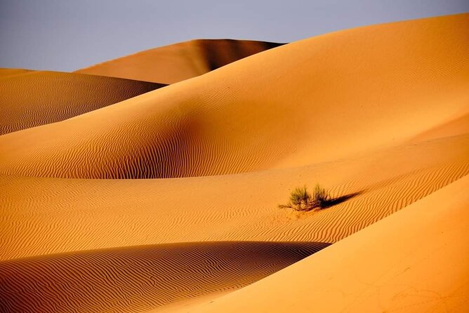 Private 2 Days 1 Night Wahiba Sands Desert and Wadi Bani Khalid Tour - Wahiba Sands at sunset
