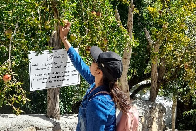 Private 2 - Days Jebel Akhdar Overnight Camping Tours - Nizwa Fort gives the first day a solid start