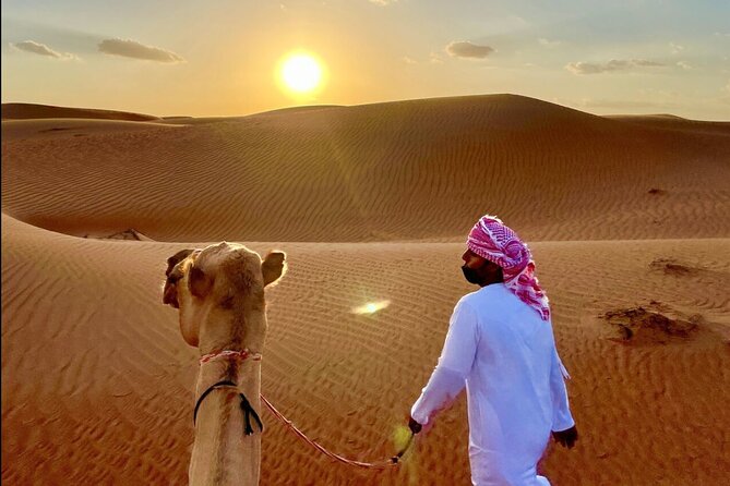 Private 3 days 2 nights Roundtrip Tour in Oman - Day two: Sur’s boatyards, a gazelle farm, and Wadi Bani Khalid