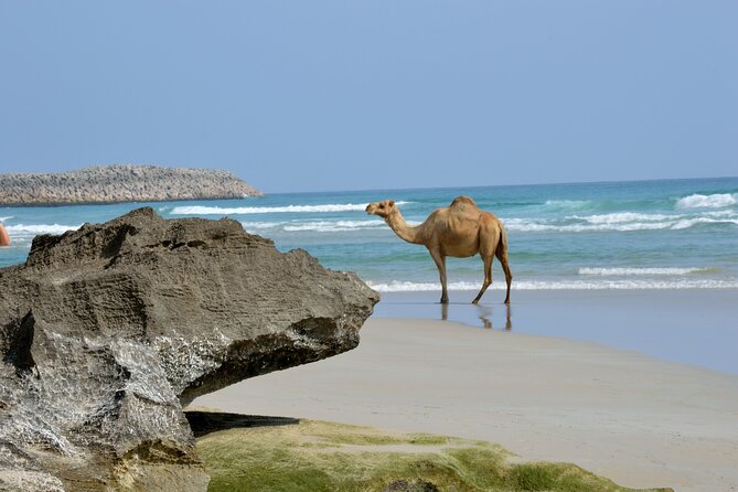 Private Caribian Orient (Swiming in Fazayeh Beach ) - The 800-meter zig-zag road