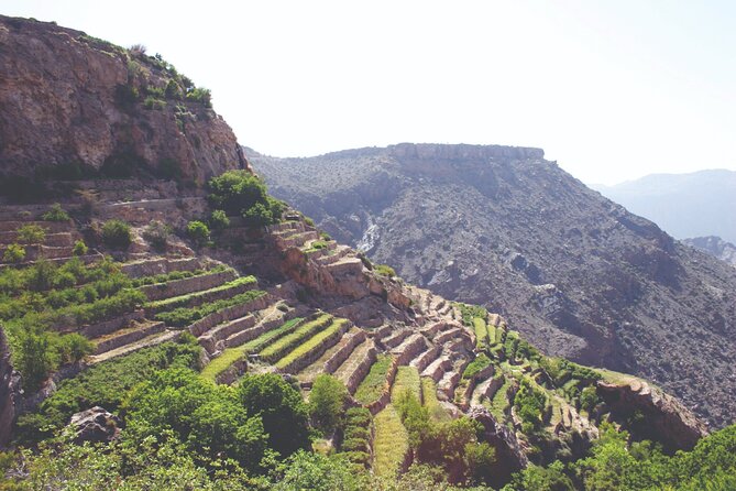 Private Day Tour of Oman's Natural Wonders in Nizwa, Jabel Akhdar - Nizwa Souk: A shorter look at local commerce