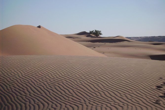 Private Day Trip to Grand Mosque & Wahiba Sands - Food, comfort, and what to plan