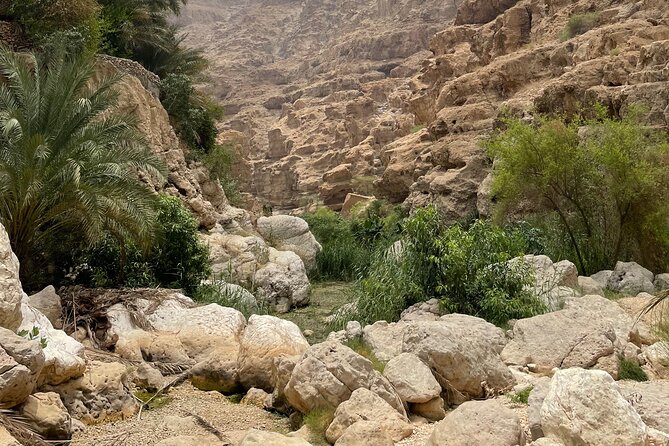Private Day Trip to Wadi Shab, Fins Beach & Bimmah Sinkhole - Fins Beach: a brief change of scenery