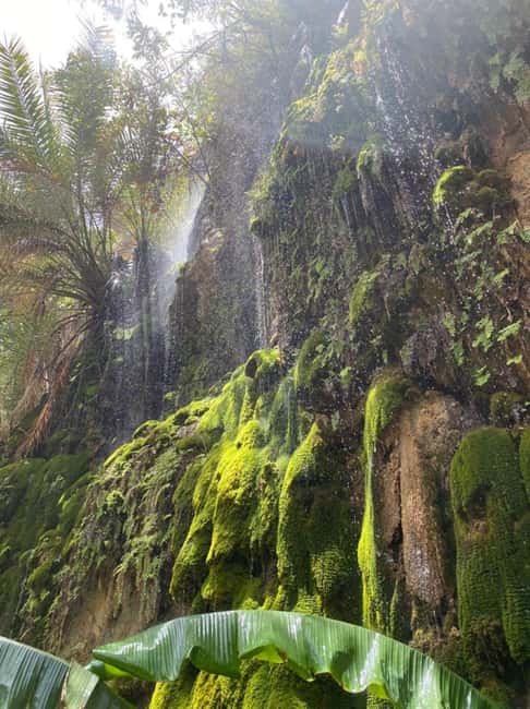 Private Day Trip to Wadi Tiwi, Fins Beach, Bimmah Sinkhole - Fins Beach adds open coastline