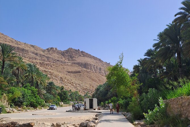 Private Desert and Wadi Tour in Oman - Who will enjoy this Oman day trip most?