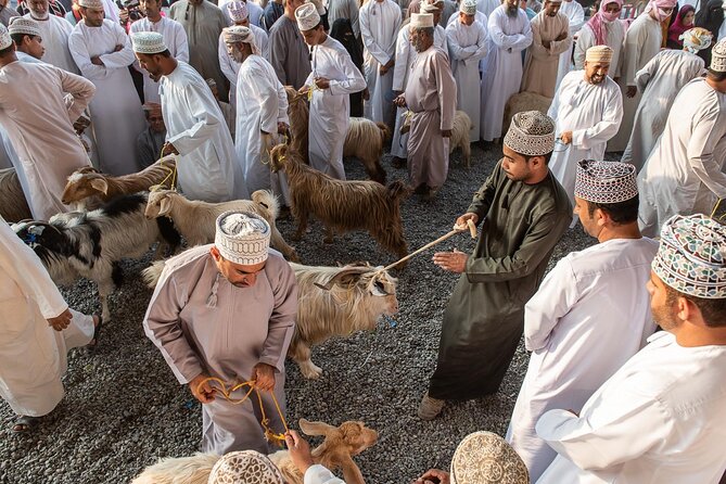 Private Explore Oman Grand Canyon, Jebel Shams and Nizwa - Why this private mountain day works