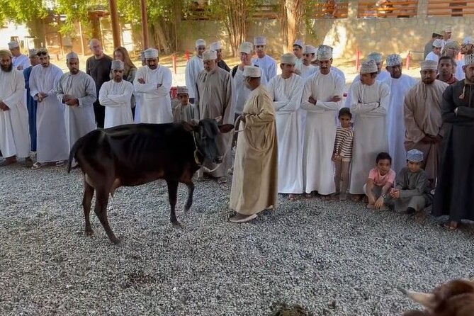 Private Friday Cattle Market-Nizwa and Jebel Akhdar-Full-Day Tour - Key points at a glance