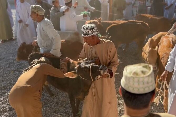 Private Friday Cattle Market-Nizwa and Jebel Akhdar-Full-Day Tour - The Al Kattmyn aflaj irrigation system