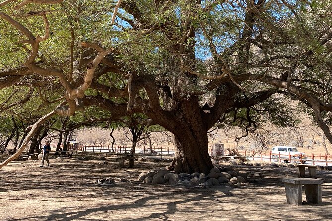 Private Full-Day East Oman Tour from Salalah with Lunch - The anti-gravity point is fun, but keep perspective