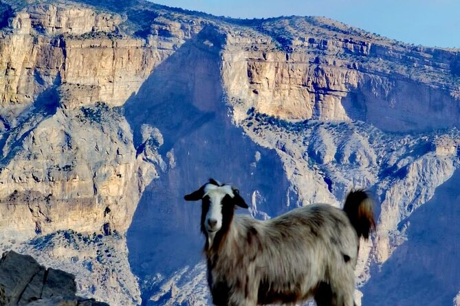 Private Full Day Guided Balcony Walk Hiking to Jebel Shams - What the $209 price really buys