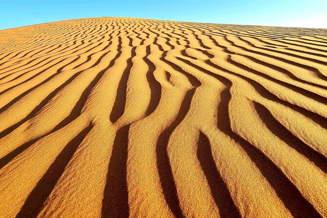 Private Full Day Private Desert Safari Tour - The optional camel ride costs extra