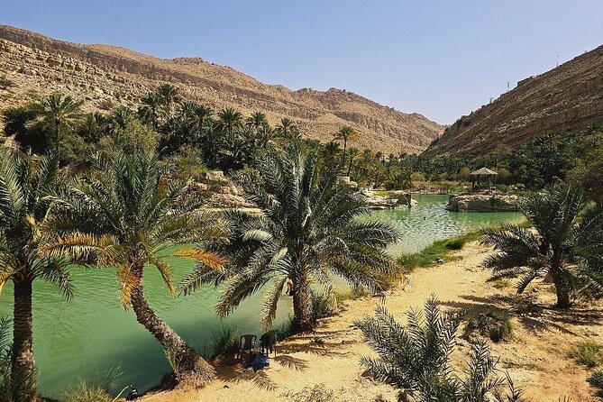 Private Full Day Private Desert Safari Tour - Lunch is a separate stop and separate expense
