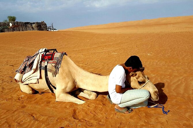 Private Full Day Private Desert Safari Tour - Guides can shape the day