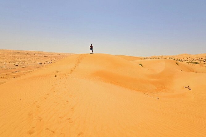Private Full Day Tour to Wahiba Sands Desert and Wadi Hawer - Who should book this private tour?