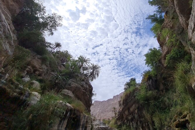 Private Full-Day Wadi Tiwi and Bimmah Sinkhole Tour from Muscat - Guides, service, and the human side of the day
