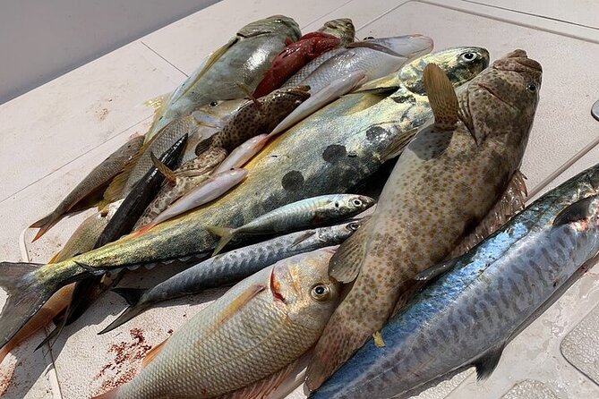 Private Game Fishing Trip with Sightseeing in Muscat - Who Will Enjoy This Private Boat Trip