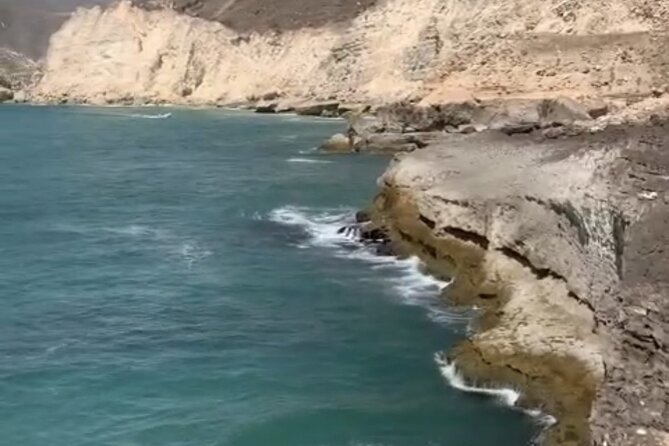 Private Guided Tour to West Beaches of Salalah - A frankincense tree in the Dhofar hills