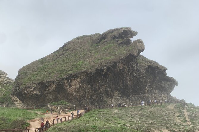 Private Guided Tour to West Beaches of Salalah - What the guide adds to the day