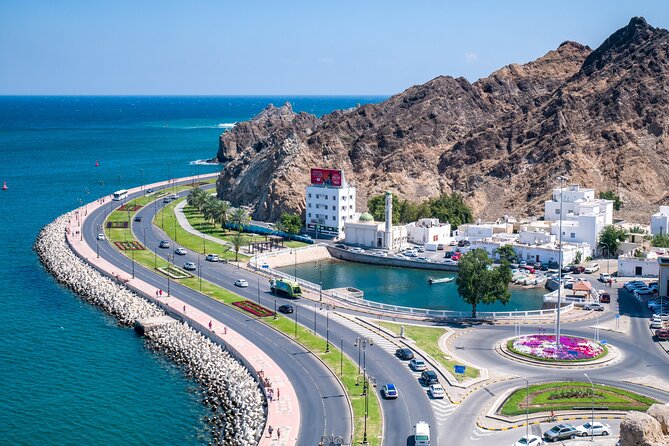 Private Half Day Muscat City Tour (Morning or Afternoon) - Old Muscat, the gate, and the mountain viewpoint