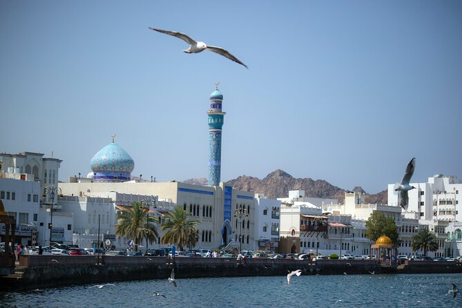Private Half-day Tour in Muscat - What the $199 price really buys you