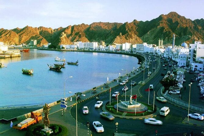 Private Muscat City Sightseeing Tour - A Fascinating Capital - Al Alam Palace and the two Portuguese forts