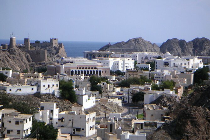 Private Muscat City Sightseeing Tour - A Fascinating Capital - Muttrah Souq and the fish market area