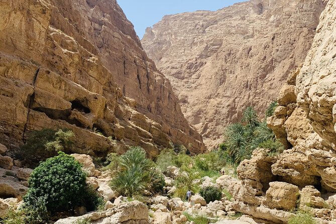 Private Oman Desert Overnight in Wahiba Sand and Wadi Exploration - What Dinner and Breakfast Add