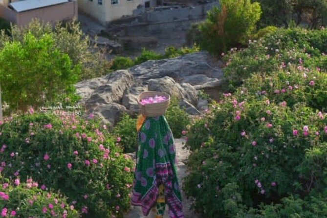 Private Oman Full Day Guided Sightseeing Tour - The guides and the feel of a private day