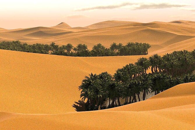 Private Overnight camping to Wahiba Sands Desert - Wadi Tiwi adds a greener view