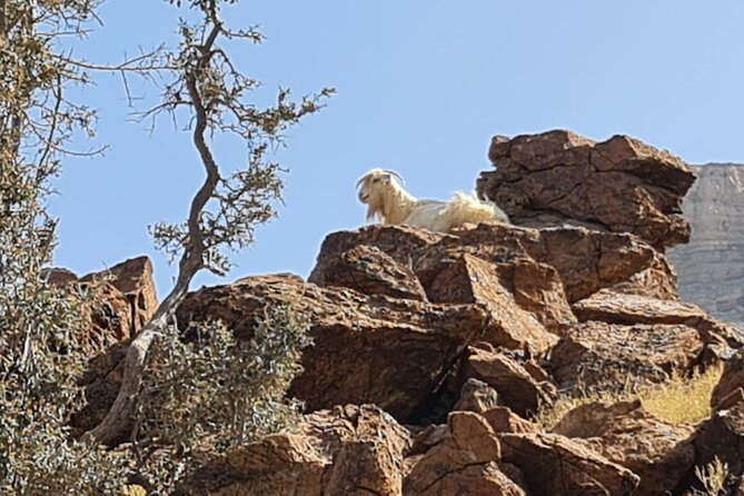 Private Overnight Nizwa & Jebel Akhdar Tour from Muscat - Jebel Akhdar overnight: orchards, roses, and cooler air