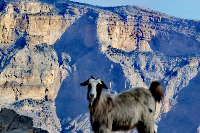 Private Overnight Nizwa & Jebel Akhdar Tour from Muscat - Bahla Fort and the route back through history