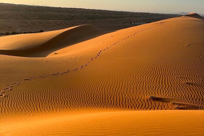 Private Safari tour and Wadi in 4x4 with a local guide - Key details at a glance
