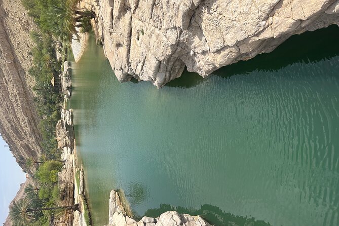 Private Safari tour and Wadi in 4x4 with a local guide - The value of $603.96 for up to four people