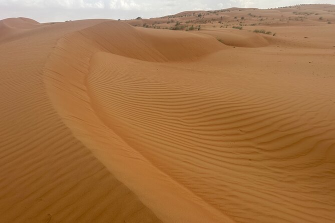 Private Safari tour and Wadi in 4x4 with a local guide - The drive from Muscat to Wadi Bani Khalid
