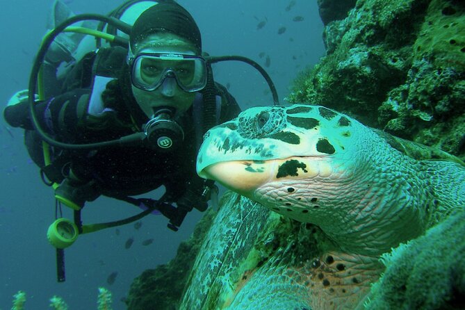 Private scuba diving trips Muscat - Daymaniyat Islands and Bandar Al Khairan