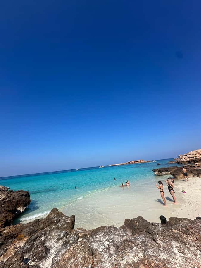 Private Snorkeling Tour - Ad Dimaniyat Islands - Key points to know before you book