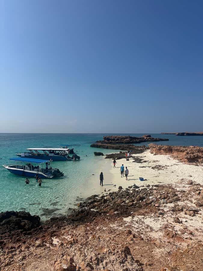 Private Snorkeling Tour - Ad Dimaniyat Islands - Two and a half hours in the nature reserve