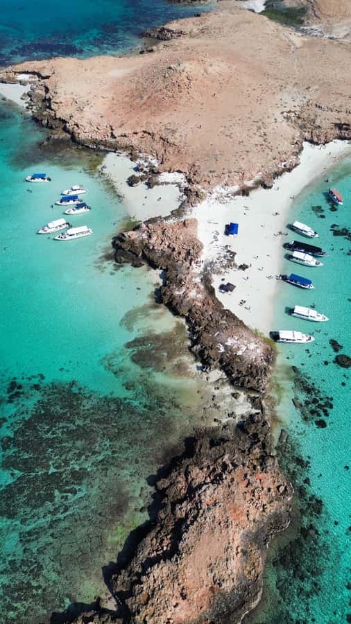 Private Snorkeling Tour - Ad Dimaniyat Islands - Cancellation and flexible planning