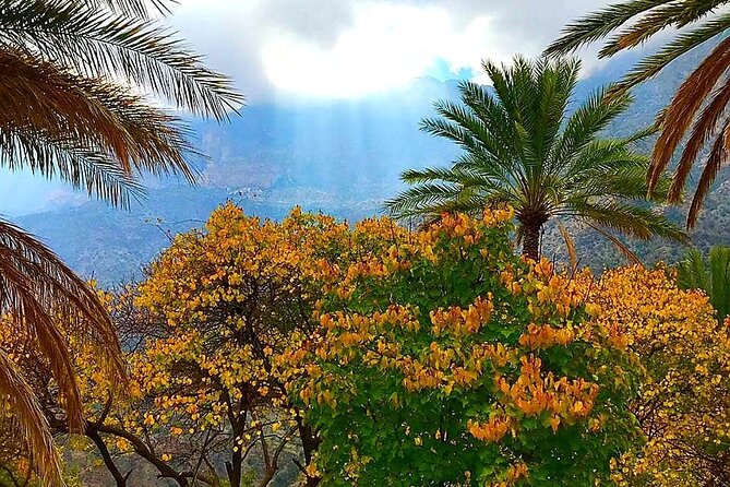 Private Sultan Qaboos Grand Mosque-Nakhal Fort-Wakan Village - Full Day Tour - Final call: book it for variety and mountain scenery